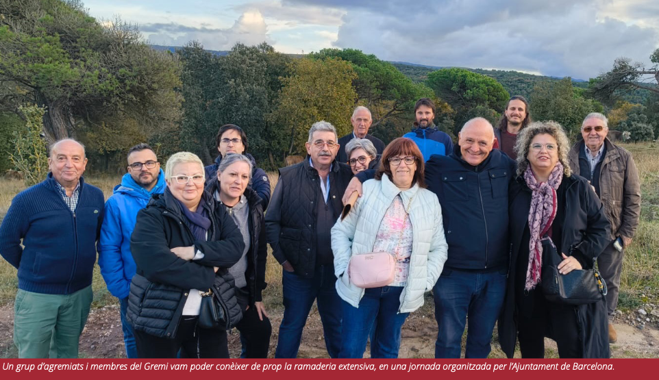 Ramaderia extensiva: qualitat, proximitat i valor afegit per al comerç