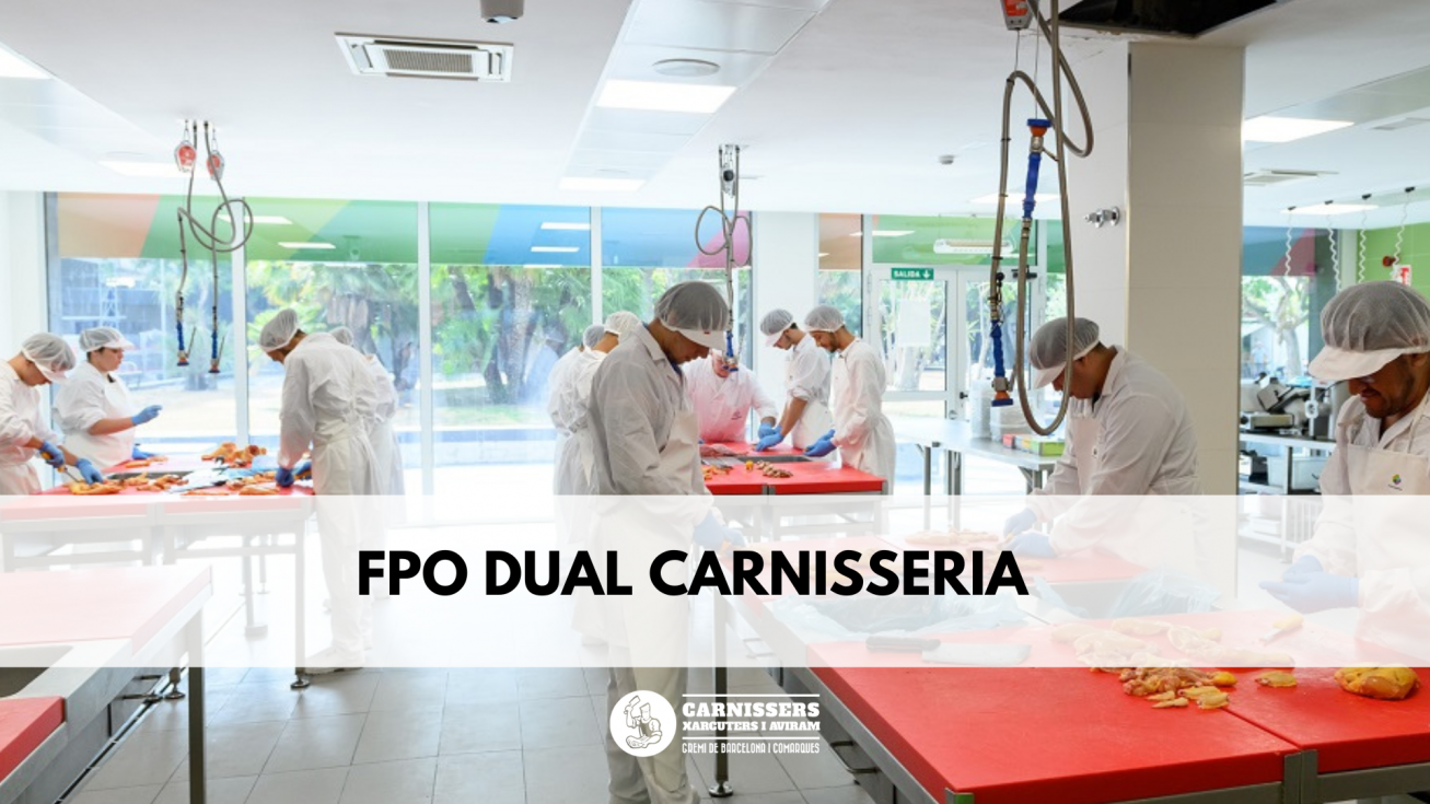 Accions realitzades per promocionar la FPO Dual de Carnisseria
